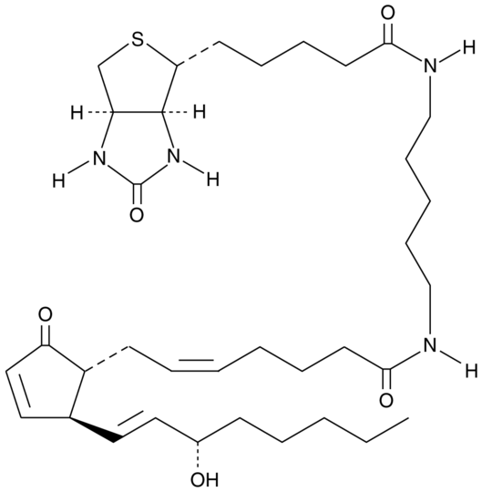 Prostaglandin A2-biotin