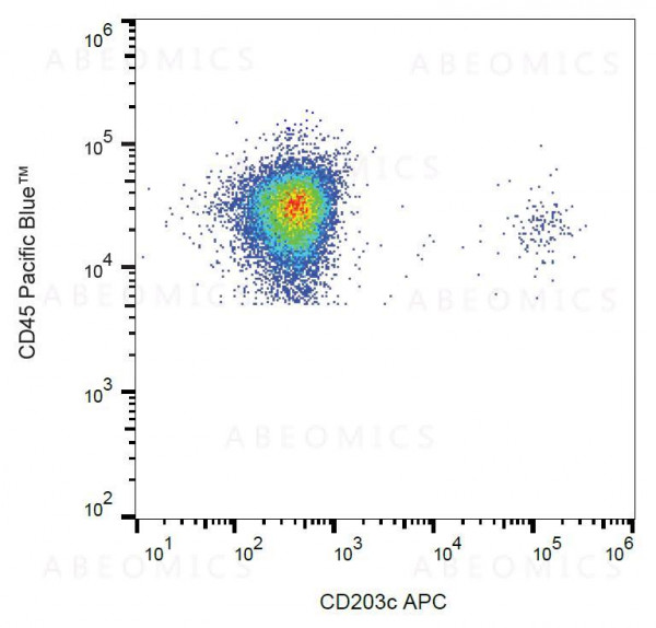 Anti-CD203c Monoclonal Antibody (Clone:NP4D6)-APC Conjugated