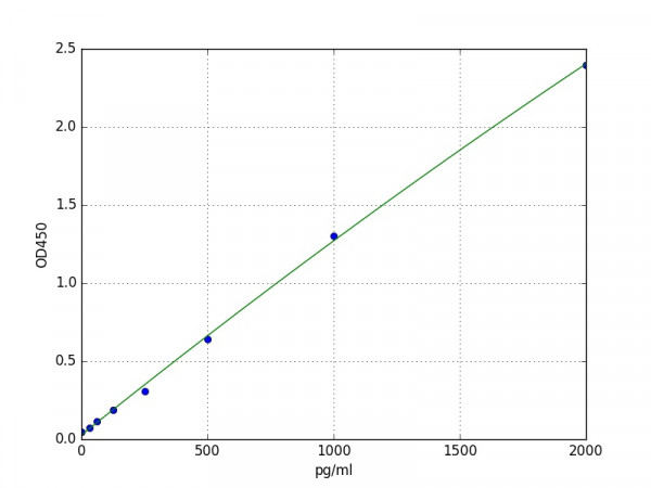 Guinea pig MCP-1 / CCL2 ELISA Kit