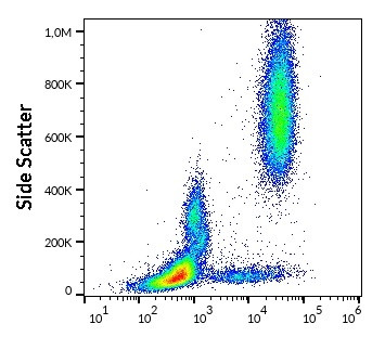 Anti-CD24, clone SN3 (FITC)