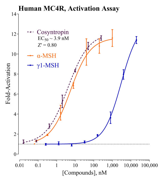 MC4R Reporter Assay System (human)