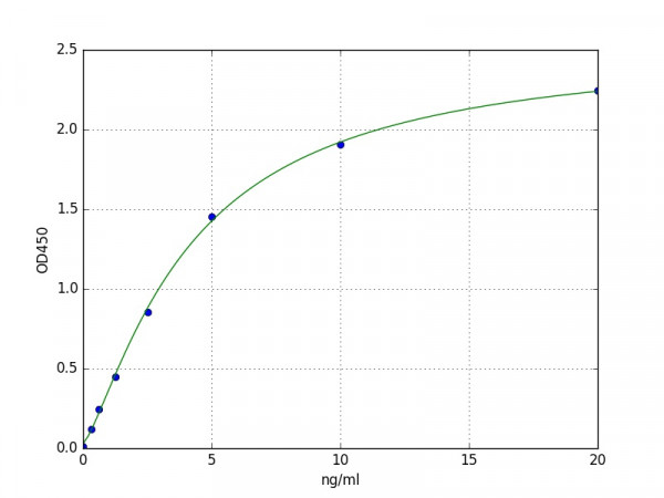 Human Biglycan protein ELISA Kit