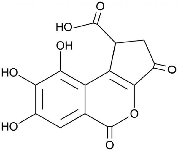 Brevifolincarboxylic Acid