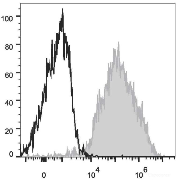 Anti-Mouse F4/80 (PE/Cyanine7 Conjugated)[CI:A3-1], clone CI:A3-1