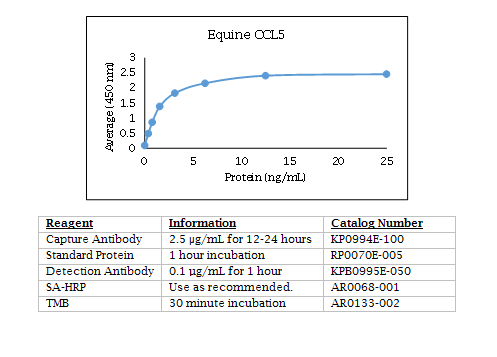 Anti-CCL5 (equine) (RANTES), Biotin conjugated