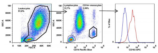 Anti-CD163, clone GHI/61 (APC)