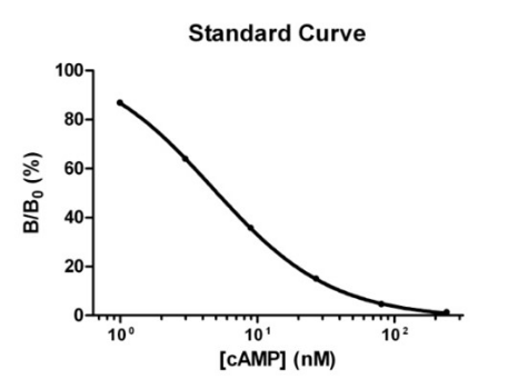 cAMP ELISA Detection Kit