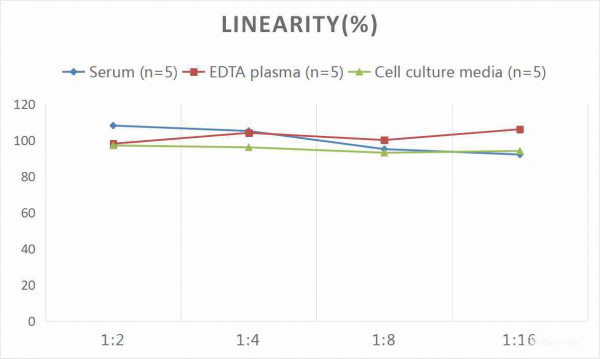 Human IL-12 (Interleukin 12) CLIA Kit