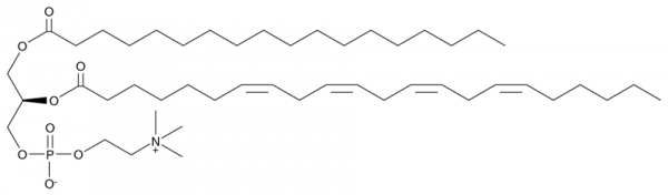 1-Stearoyl-2-Adrenoyl-sn-glycero-3-PC