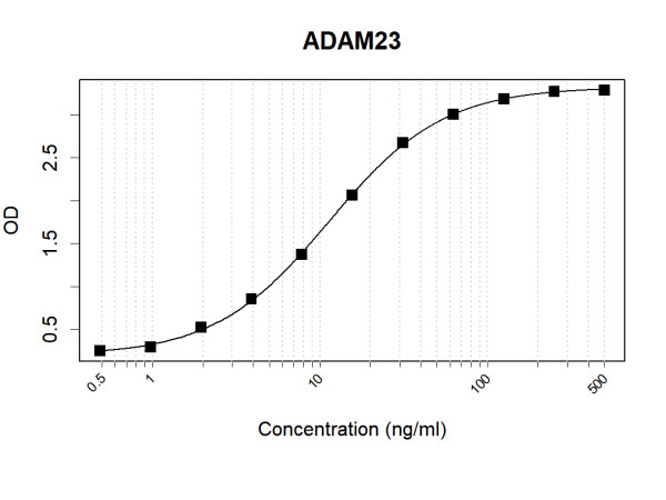 Anti-Human ADAM23 Antibody Pair