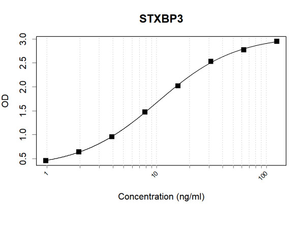 Anti-Human STXBP3 Antibody Pair