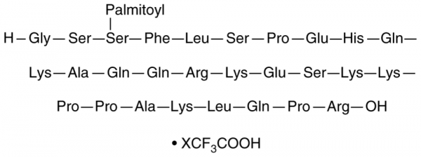 Ghrelin (rat) (palmitoyl) (trifluoroacetate salt)