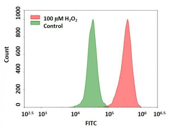 Cell Meter(TM) Intracellular Fluorimetric Hydrogen Peroxide Assay Kit *Green Fluorescence Optimized