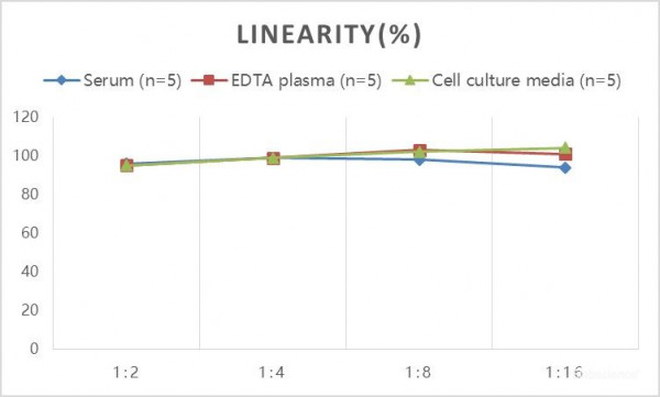 Rat GH (Growth Hormone) ELISA Kit