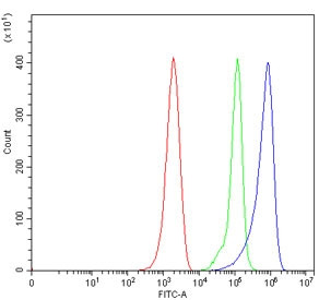 Anti-Mavs (Ips-1)