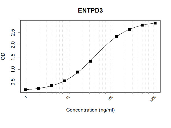 Anti-Human ENTPD3 Antibody Pair