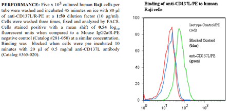 Anti-CD137L (human), clone ANC5D6, R-PE conjugated