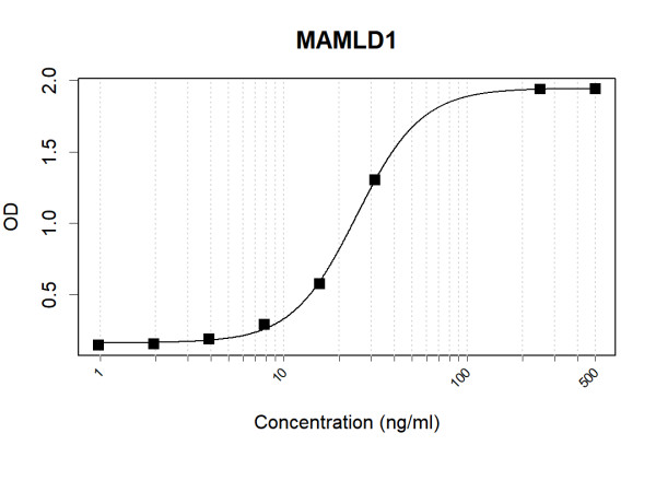 Anti-Human MAMLD1 Antibody Pair