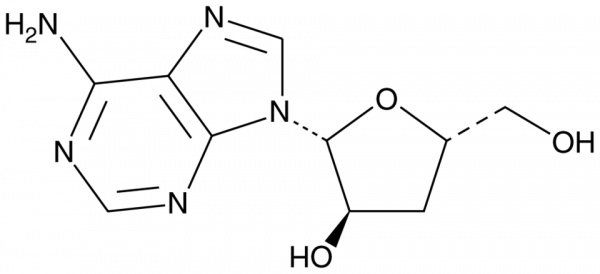 Cordycepin