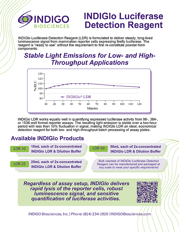 INDIGlo Luciferase Detection Reagent
