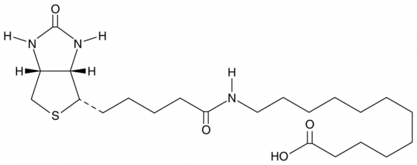 12:0 N-Biotinyl Fatty Acid