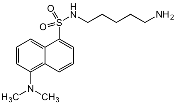 Dansylcadaverine