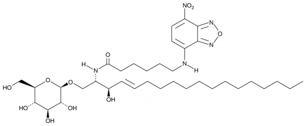 C6 NBD Glucosylceramide (d18:1/6:0)