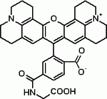 6-ROX glycine *25 uM fluorescence reference solution for PCR reactions*