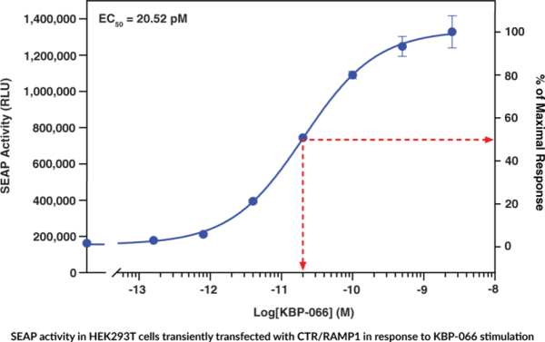 Amylin 1 Receptor (human) Reporter Assay Kit