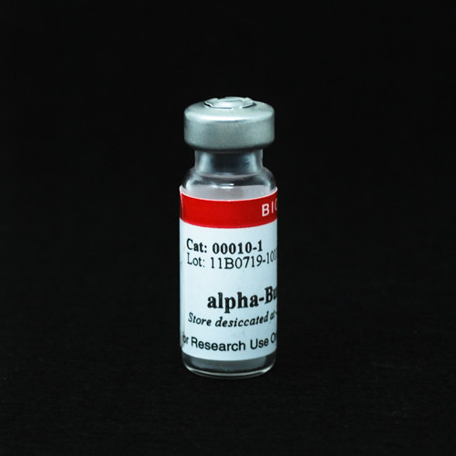 Alpha-Bungarotoxin