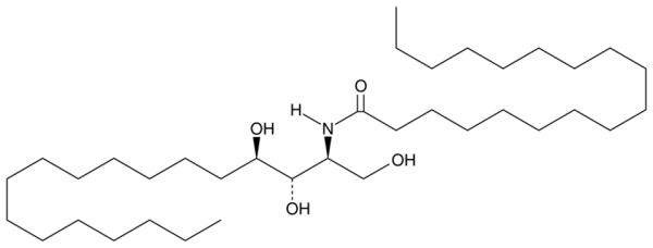 C18 Phytoceramide (t18:0/18:0)
