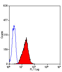 Anti-CD178 / Fas-L, clone 14C2