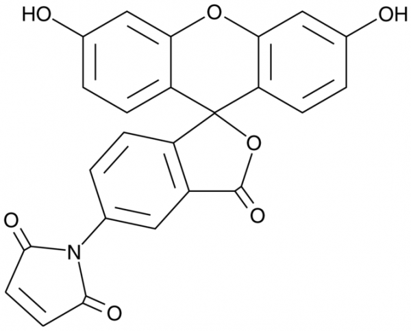 Fluorescein-5-maleimide