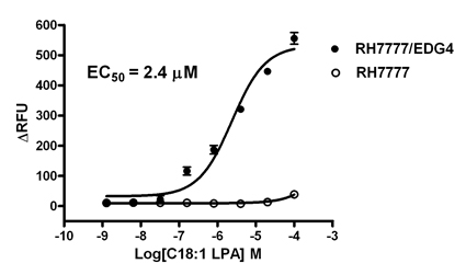 RH7777/EDG4 Stable Cell Line