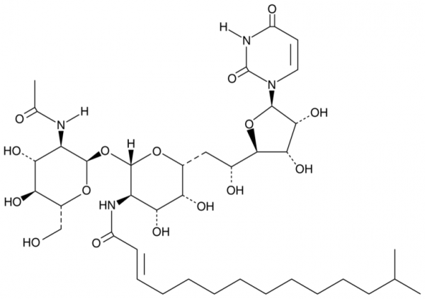 Tunicamycin 15:1 Mixture