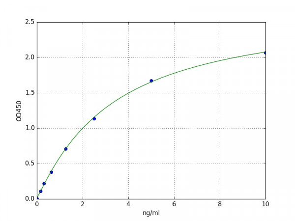 Human MT-CO3 / COX3 ELISA Kit