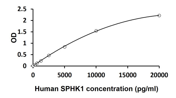 Human SPHK1 ELISA Kit