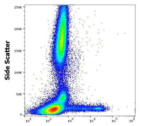 Anti-CD73 (PE), clone AD2