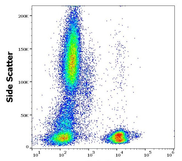 Anti-CD3, clone MEM-57 (APC)