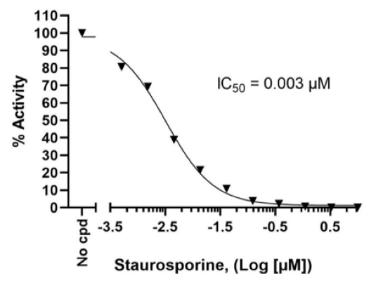 Chemi-Verse(TM) PAK4 Kinase Assay Kit
