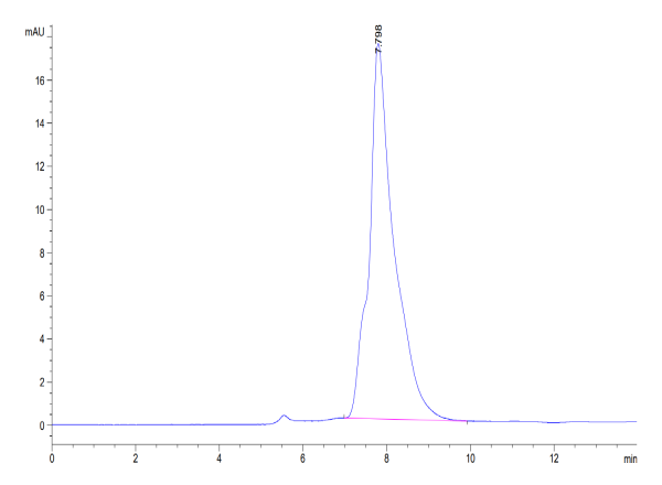 Human CALCA/CGRP Protein