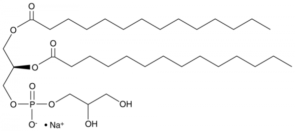1,2-Dimyristoyl-sn-glycero-3-PG (sodium salt)