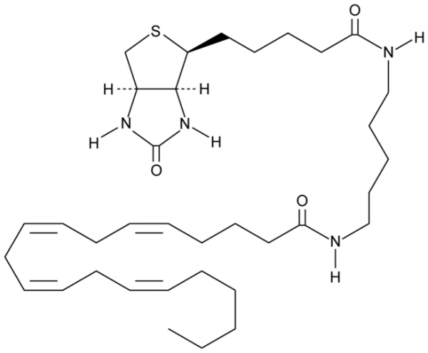 Arachidonic Acid-biotin