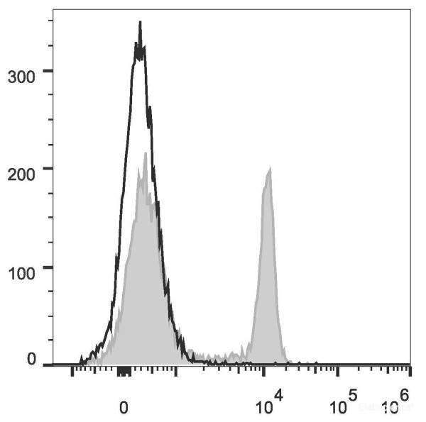 Anti-Rat CD4(domain 1) (PerCP Conjugated)[OX-38], clone OX-38