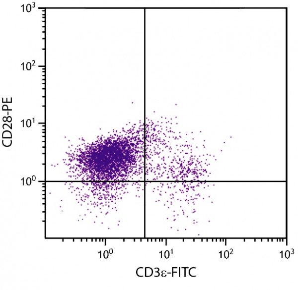 Anti-CD3e (FITC), clone C363.29B