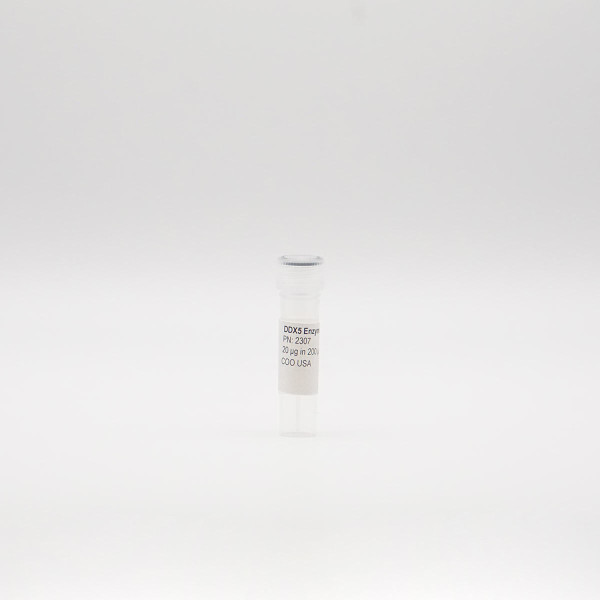 Recombinant DDX5 Enzyme, Active, Human