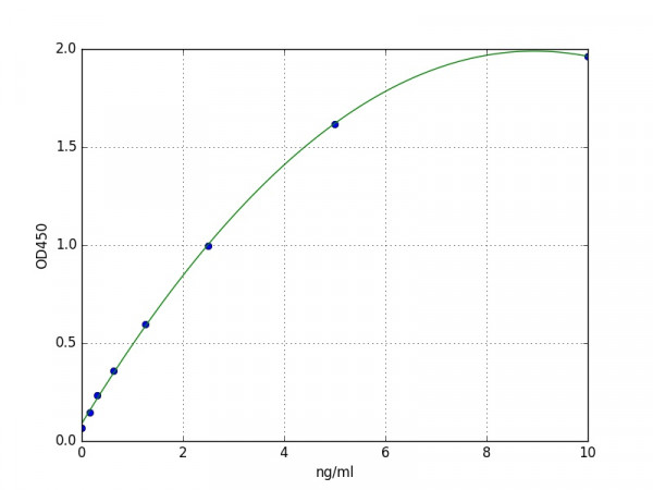 Mouse FoxO1 / FKHR / Forkhead box protein O1 ELISA Kit