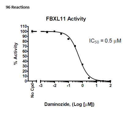 FBXL11 Homogeneous Assay Kit