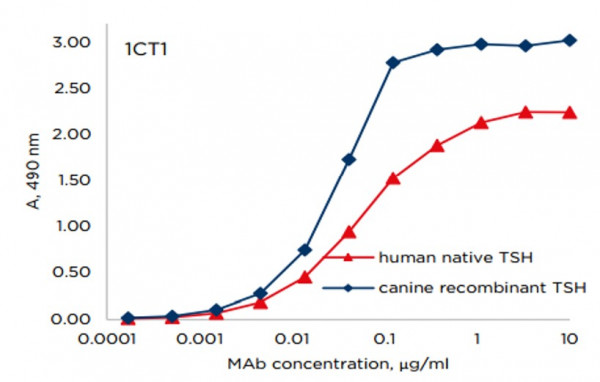 Anti-Thyroid Stimulating Hormone (TSH), clone 1CT1