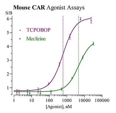 CAR (Mouse) Reporter Assay System